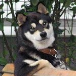 ※카페네네에서 만난 피해망상녀※