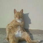 오늘도 편의점에서 실수를 되풀이하고..