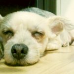 소소한 우리가족 이야기입니다~