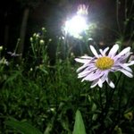 미래에 관련된 일<b>인대</b> 참여좀 해줘요