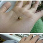 <b>폭풍</b>성장한 그녀.. 제가 넘볼 수가 없네요 이젠 ㅠㅠ
