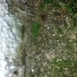 우리 아파트는 꼽등이 <b>던전</b>