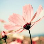 사랑,능력 둘다 <b>쟁취</b>하라!!