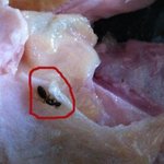 <b>gs25</b>에서 판매하고 (주)오뗄에서 만드는 위대한치킨에서 개미가...