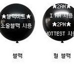 솔직히 팬덤 색깔