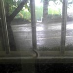 @혐오주의@사진有/여중의 <b>송충</b>이대란/이건 정말 재앙이야