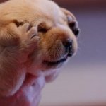 ★★핸드폰 매장에서 <b>살벌</b>하게 만낫던 우리 지금은 달달커플??4★★