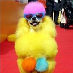 <b>gd</b>보고있나?^^