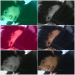 <b>나님</b> 중딩떄 사진