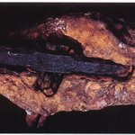 ★☆★오파츠<b>유물</b>★☆★즉 존재하지않아야할 시대에 존재하는 <b>유물</b>을 아십니까...