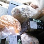 스무살에 제2의 세계로 간 이야깅