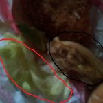 롯데리아 썩은햄버거 먹음(사진첨부) 2탄입니다. 도와주세요!