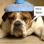 곧 있음 개강 ㅠ 아쉬운 마음으로 롯데월드에 갔어요~