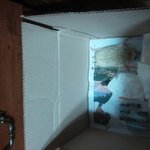 ★(사진有)우리집 고슴도치가 날고 싶어해요★