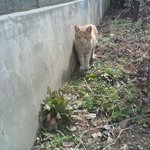 서촌샛기야 큰<b>일남</b> 위기의순간이다