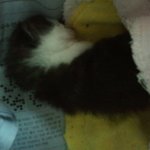 그뒷이야기)사고쳣습니다.. ※초등학생분들 꼭읽어주세요