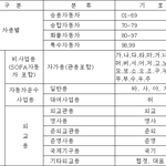 아빠사자의 택시에 대하여