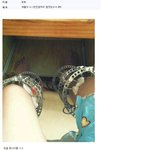 <b>키</b>크는 <b>수술</b>..ㅇ_ㅇ.