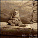 에헤<b>라디</b>야