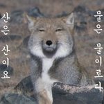 넘사벽! 우월한 유전자를 가진 남신들 ~
