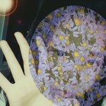 (사진有)☆★☆★☆★흔한 <b>여중</b>의 훅녀들 1탄☆★☆★☆★!톡시켜주세여