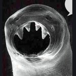 ★★★나의 몸엔 어느 곳엔가.. 조심하세요.여러분★★★