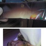 썩은 <b>맛밤</b> 드셔보셨나요?