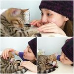 ★★ <b>2ne1</b> 산다라박 고양이랑 같이 3종세트 ★★