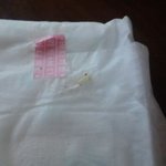 나 생리대에서 에<b>벌레</b> 나옴