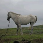 24흔녀, 혼자 제주도 하이킹 하고왔슴다 ! (2)