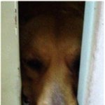 ★★★웃기는 동생 자랑하는 톡★★★