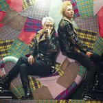 ●●★★★뇽토리&amp;탑뇽★★★●●