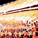 아니 소수 무개념엘프님들<b>or</b>사칭님들