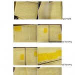 더이상 제 동생같은 피해자가 나오지 않기를 바랍니다!