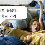 추석에 혼자 뒹굴뒹굴 하는 잉여를 위한 안내서!