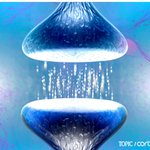 기억이란? 치매관련 기사