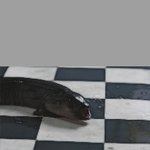 뱀장어란 영화를 아십니까 ?