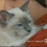 내가 어렸을 적 동방신기 뮤비에서 인상깊었던것들!