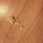 사진有)롯데리아의 실체