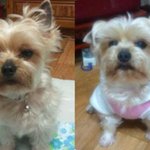 ★★영등포 사시는 분들 꼭 봐주세요★★