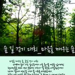 <b>숲길</b> 걷기 대회_마음을 깨우는 숲 