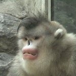 내가 제일 잘나가(일본인<b>ver</b>)