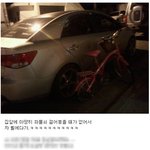 우리언니 이러고 살아요.