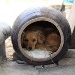 야빨리빨리 <b>일로</b>와바!!빨리!!