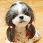 사진有)★개훈남훈녀커플<b>인증</b>!!★★