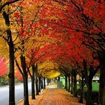 ★★가을철 집안 관리 진드기는 <b>환기</b>, 빈집은 보안업체!!