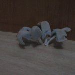 [사진有]<b>내방</b> 바닥에서 자라는 이것... 정체가 뭐죠?