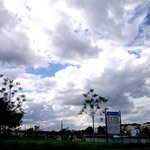 카앤드라이빙과 정재형! i40의 유럽진출기~