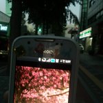 ♨새벽6시<b>여중</b>에선..♨(사진有)