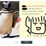 ★☆★☆★나는 어떤 동물처럼 사는가?테스트ㅋㅋㅋ